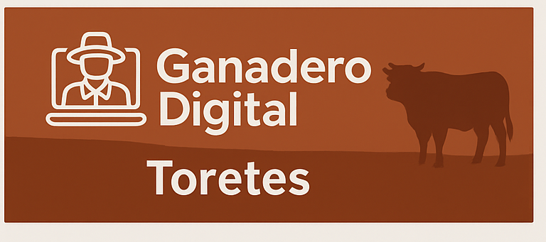 Toretes